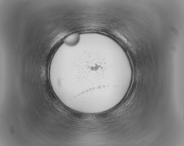 X0000115801259200912111202