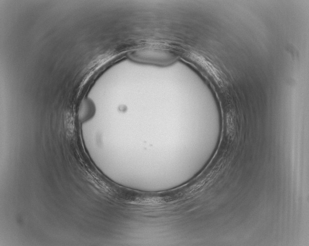 X0000115801260200912111202