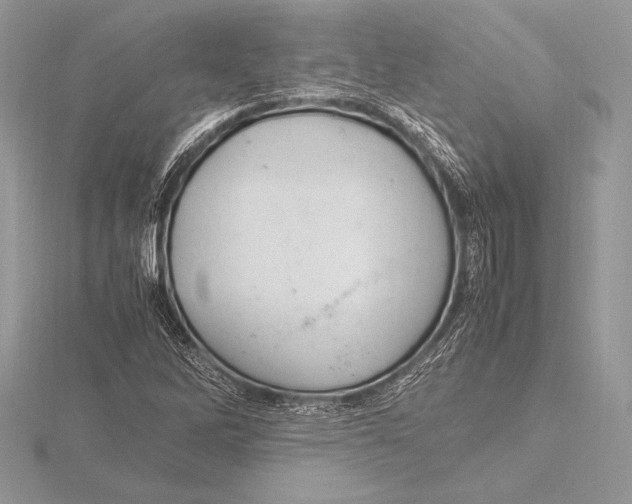 X0000115801262200912111202