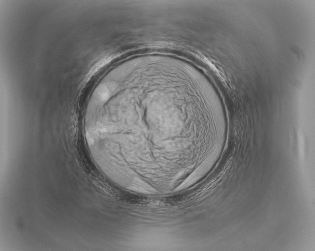 X0000115801263200912111202