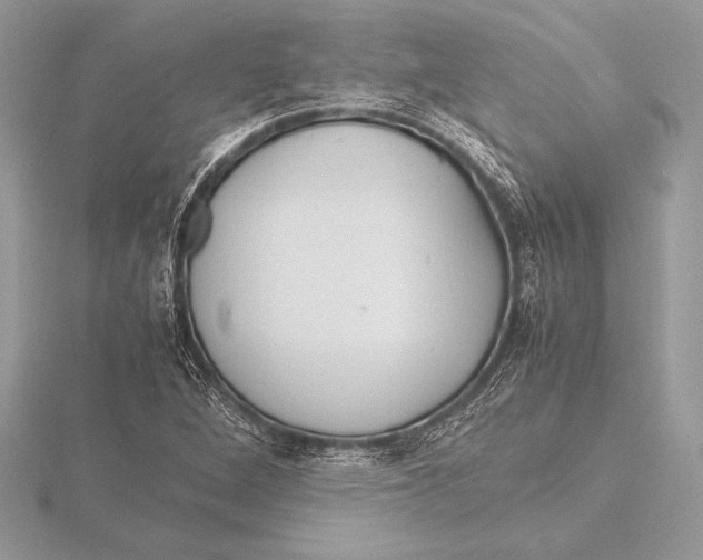 X0000115801264200912111202