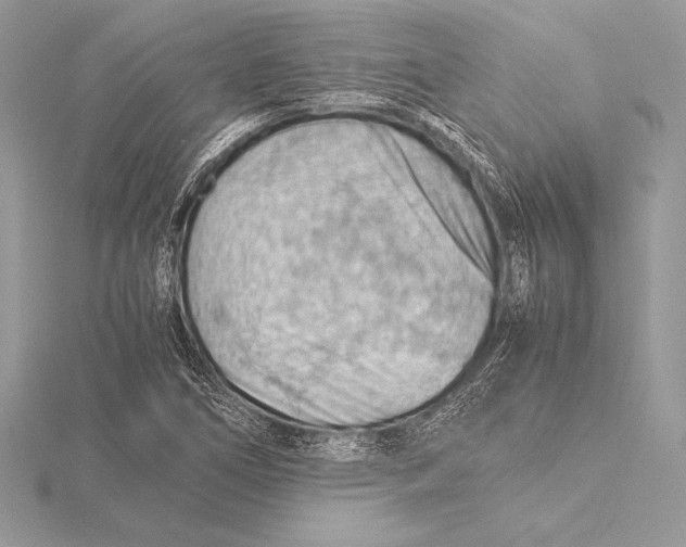 X0000115801266200912111202