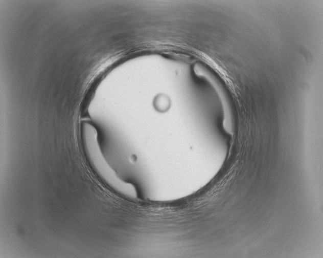 X0000115801269200912111202