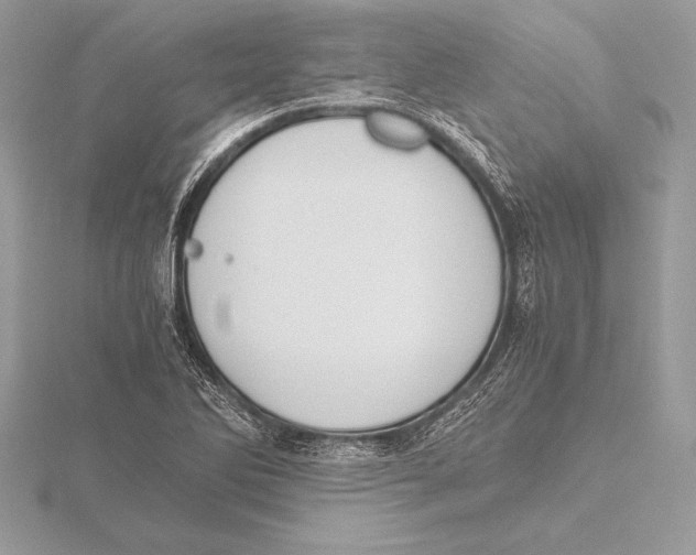 X0000115801270200912111202