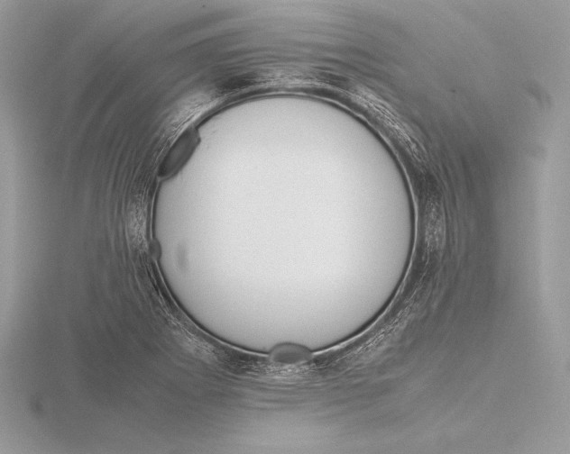 X0000115801273200912111202