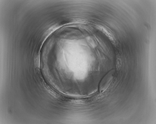 X0000115801276200912111202