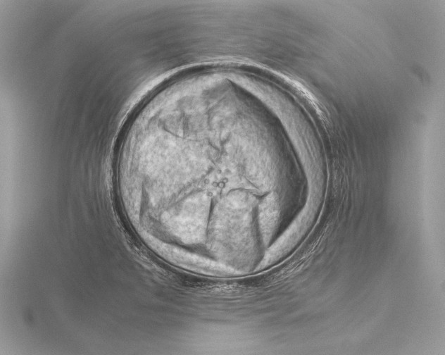 X0000115801279200912111202