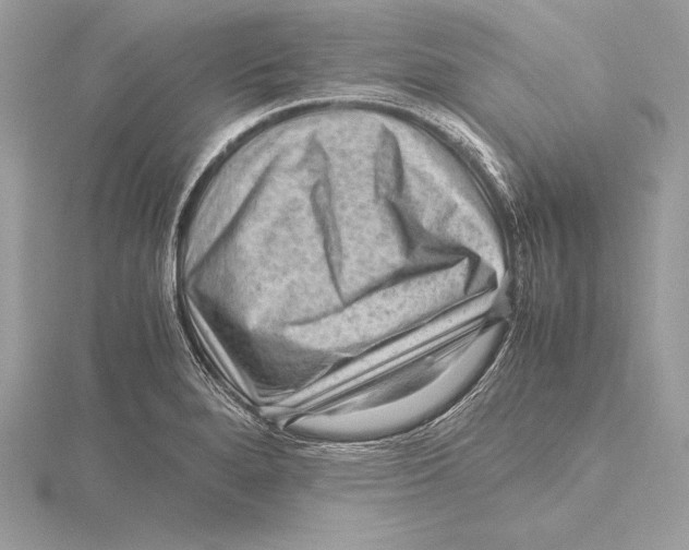 X0000115801280200912111202