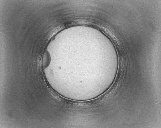 X0000115801281200912111202