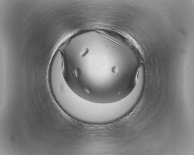 X0000115801285200912111202