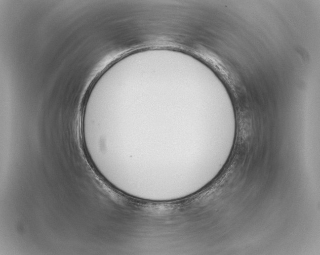 X0000115801286200912111202