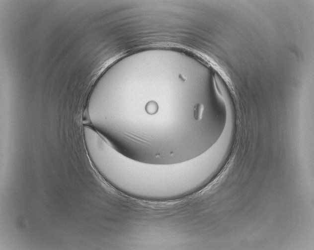 X0000115801289200912111202