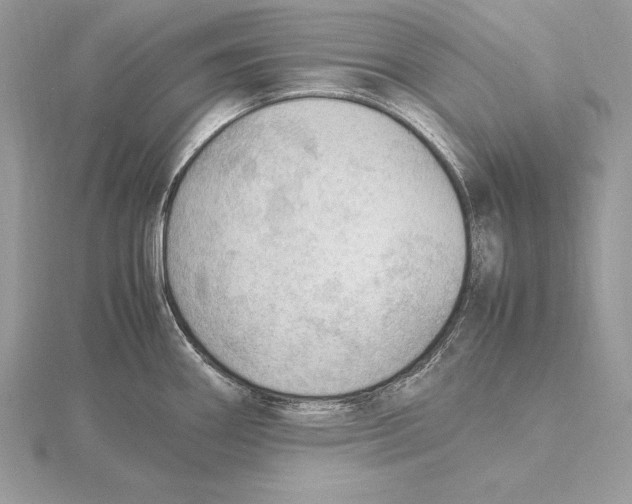 X0000115801290200912111202