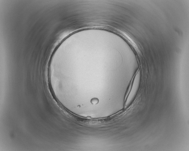 X0000115801291200912111202