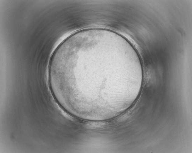 X0000115801294200912111202