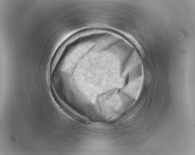 X0000115801295200912111201