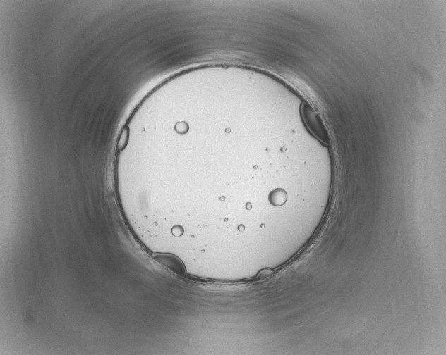 X0000115801296200912111201