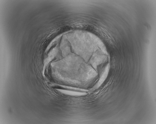 X0000115801297200912111201