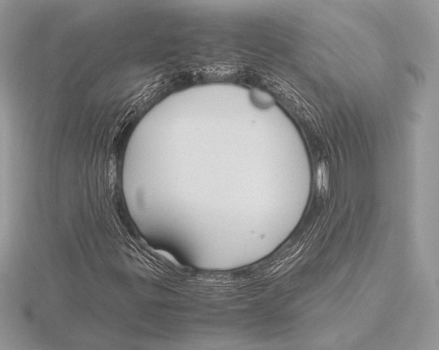 X0000115801299200912111201