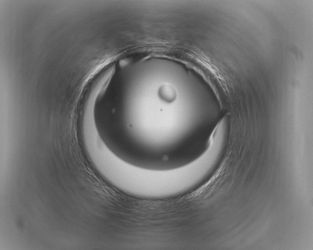 X0000115801309200912111201