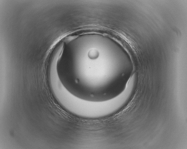 X0000115801310200912111201