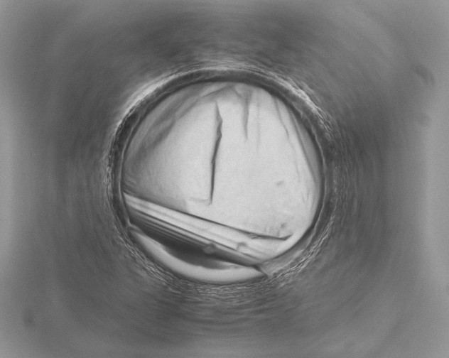 X0000115801311200912111201