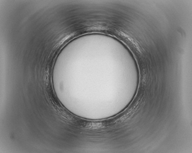 X0000115801313200912111201