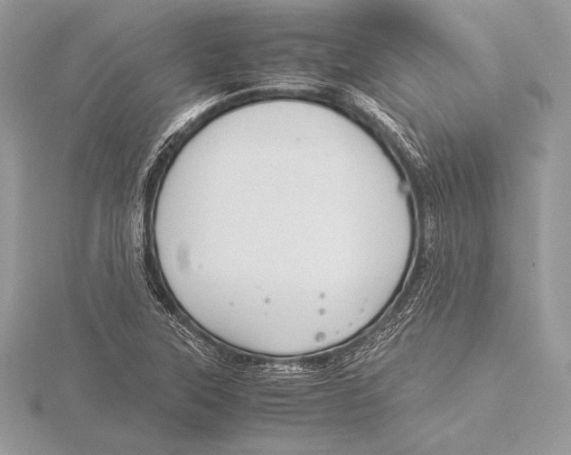 X0000115801315200912111201