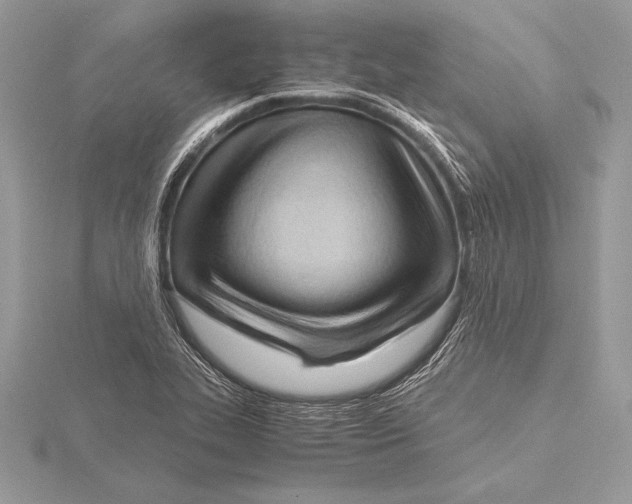 X0000115801319200912111201