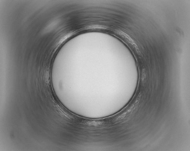 X0000115801321200912111201