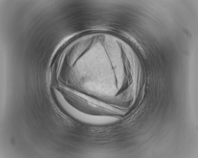 X0000115801323200912111201