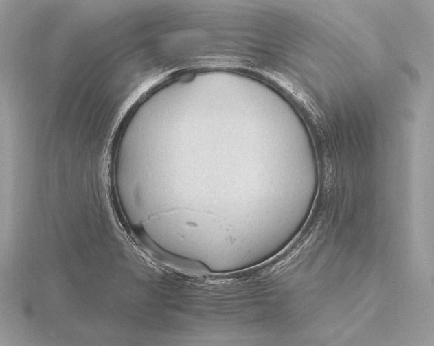 X0000115801325200912111201