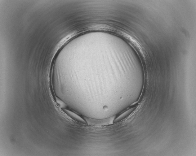 X0000115801330200912111201