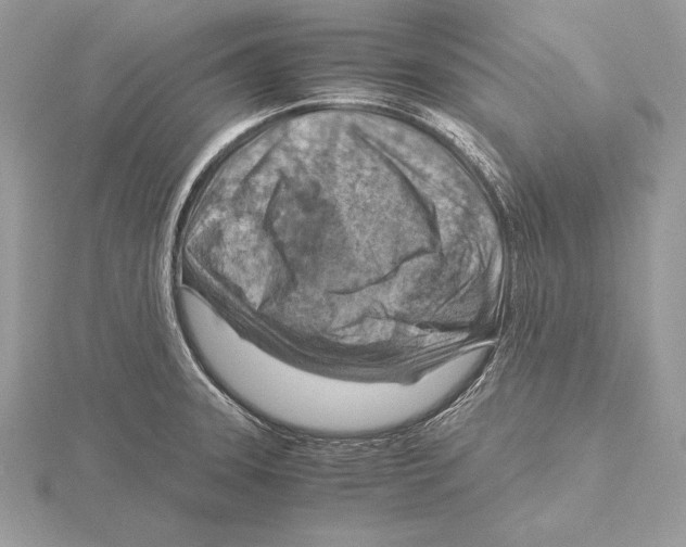 X0000115801331200912111201