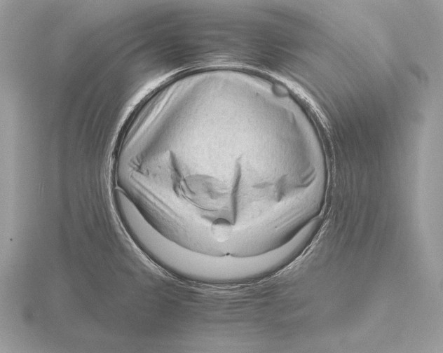 X0000115801333200912111201