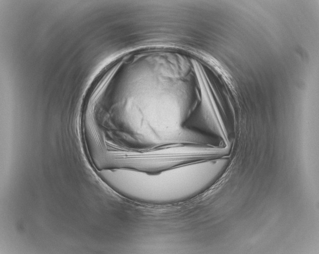 X0000115801334200912111201