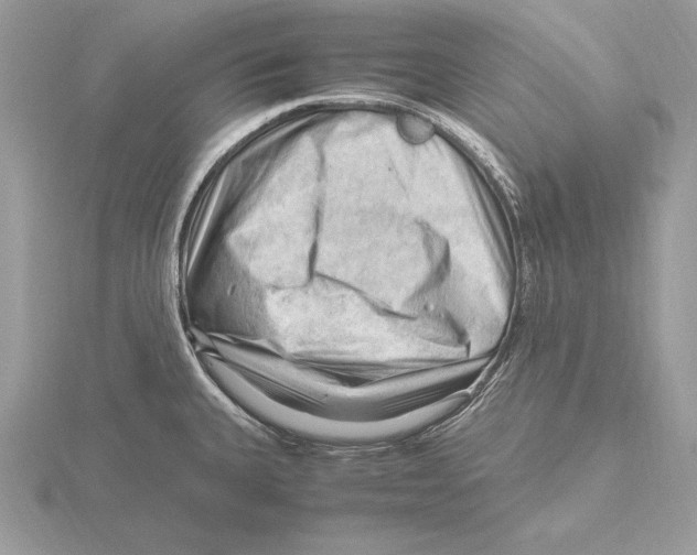 X0000115801335200912111201