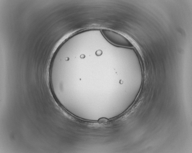 X0000115801341200912111201