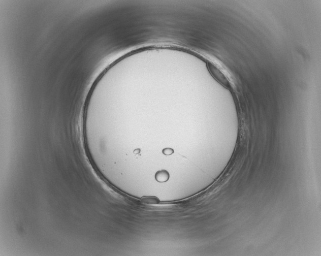 X0000115801343200912111201