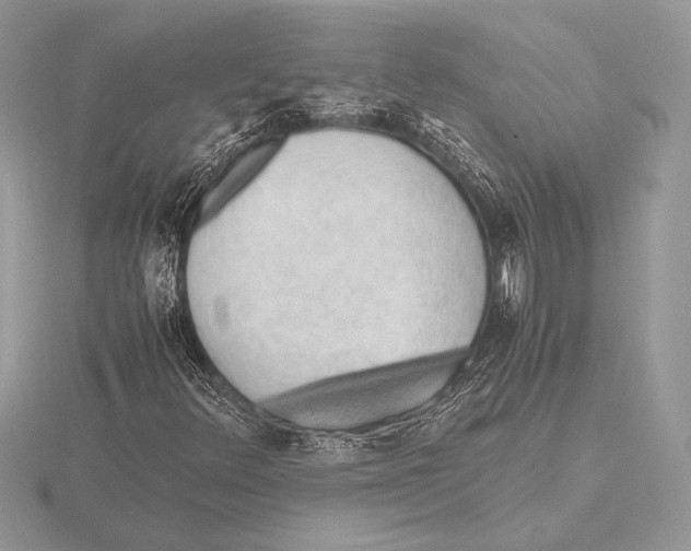 X0000115801348200912111201