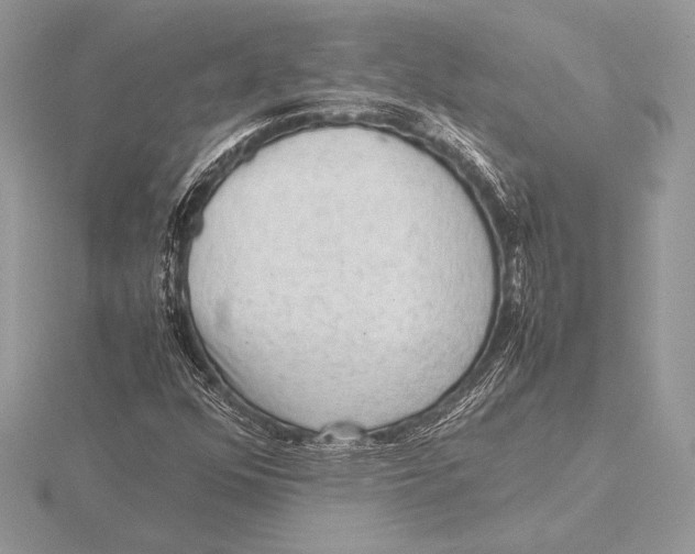 X0000115801352200912111201