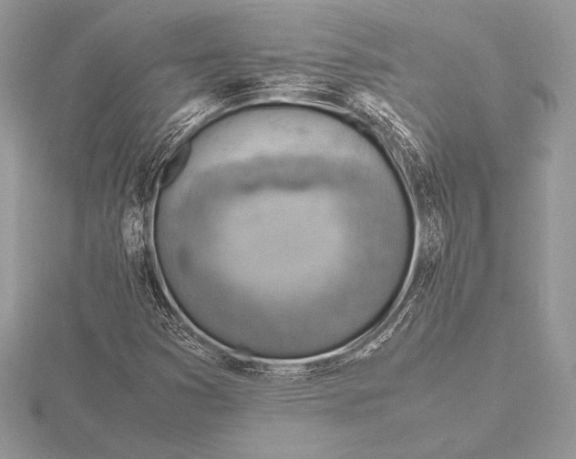 X0000115801353200912111201