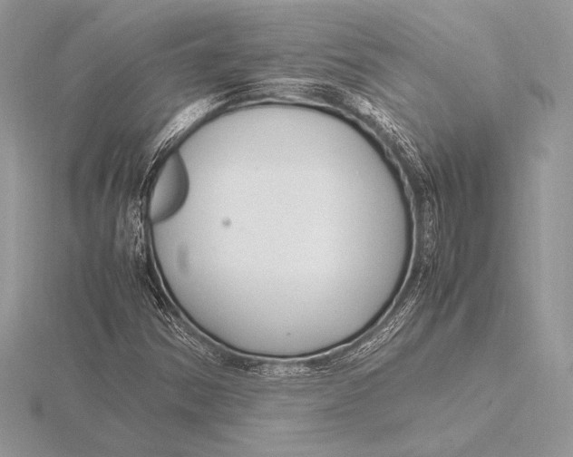 X0000115801354200912111201