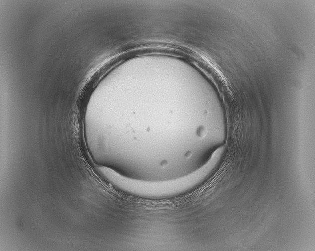 X0000115801360200912111201