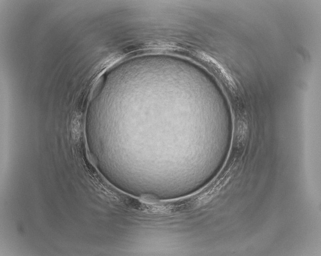 X0000115801361200912111201