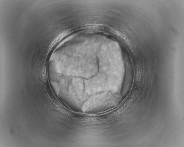 X0000115801362200912111201