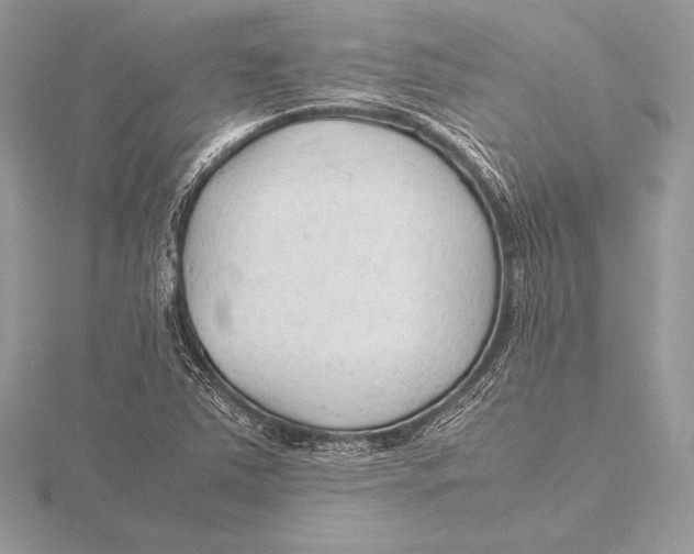 X0000115801363200912111201