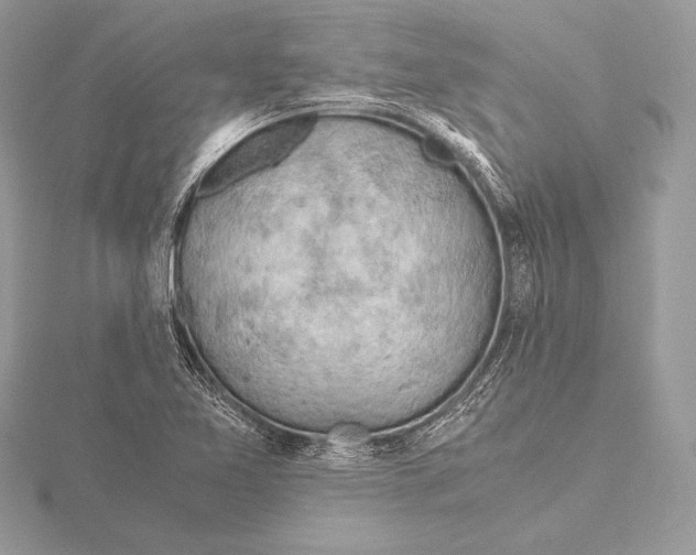 X0000115801365200912111200