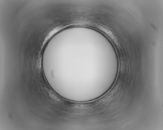 X0000115801366200912111200