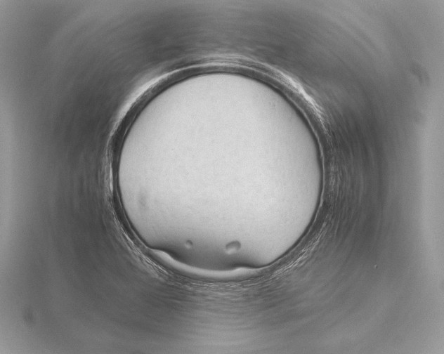 X0000115801368200912111200